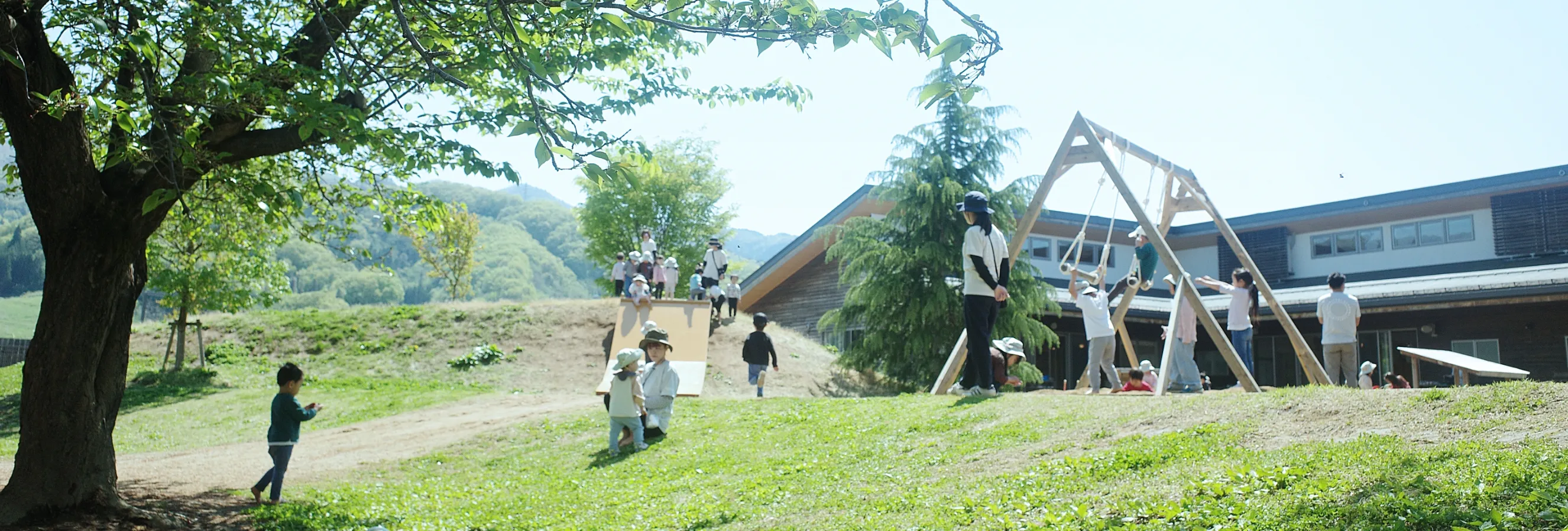 educareぷらす