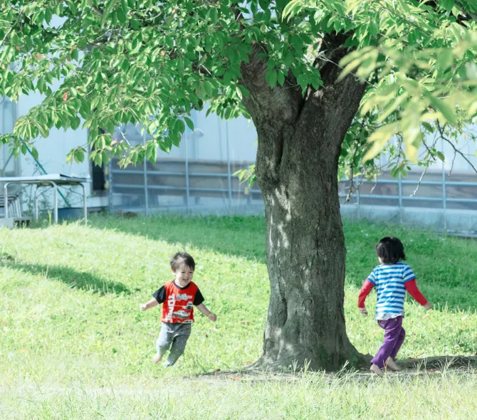 美しさや楽しさへの感度を高める