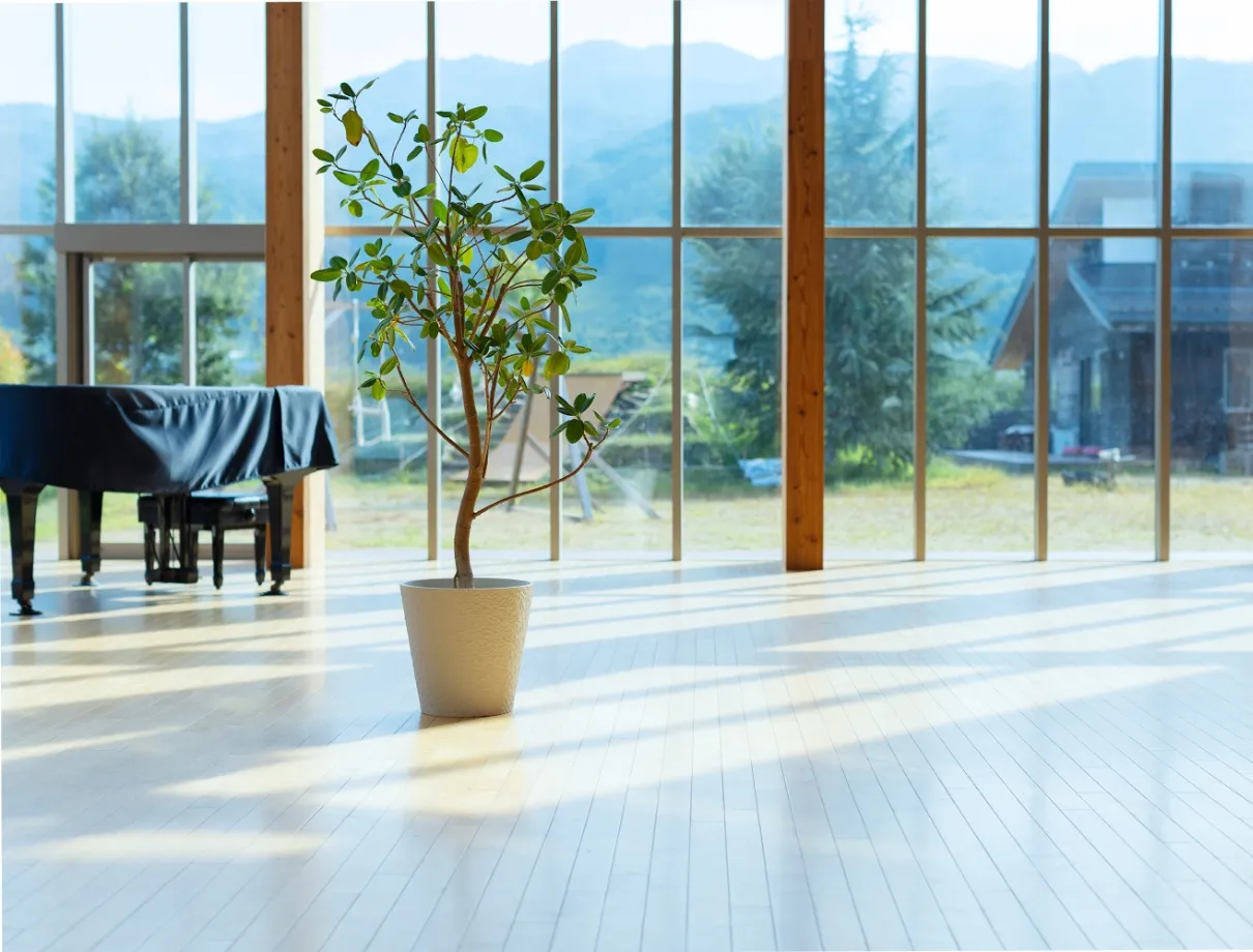 天童しぜん幼稚園イメージ4