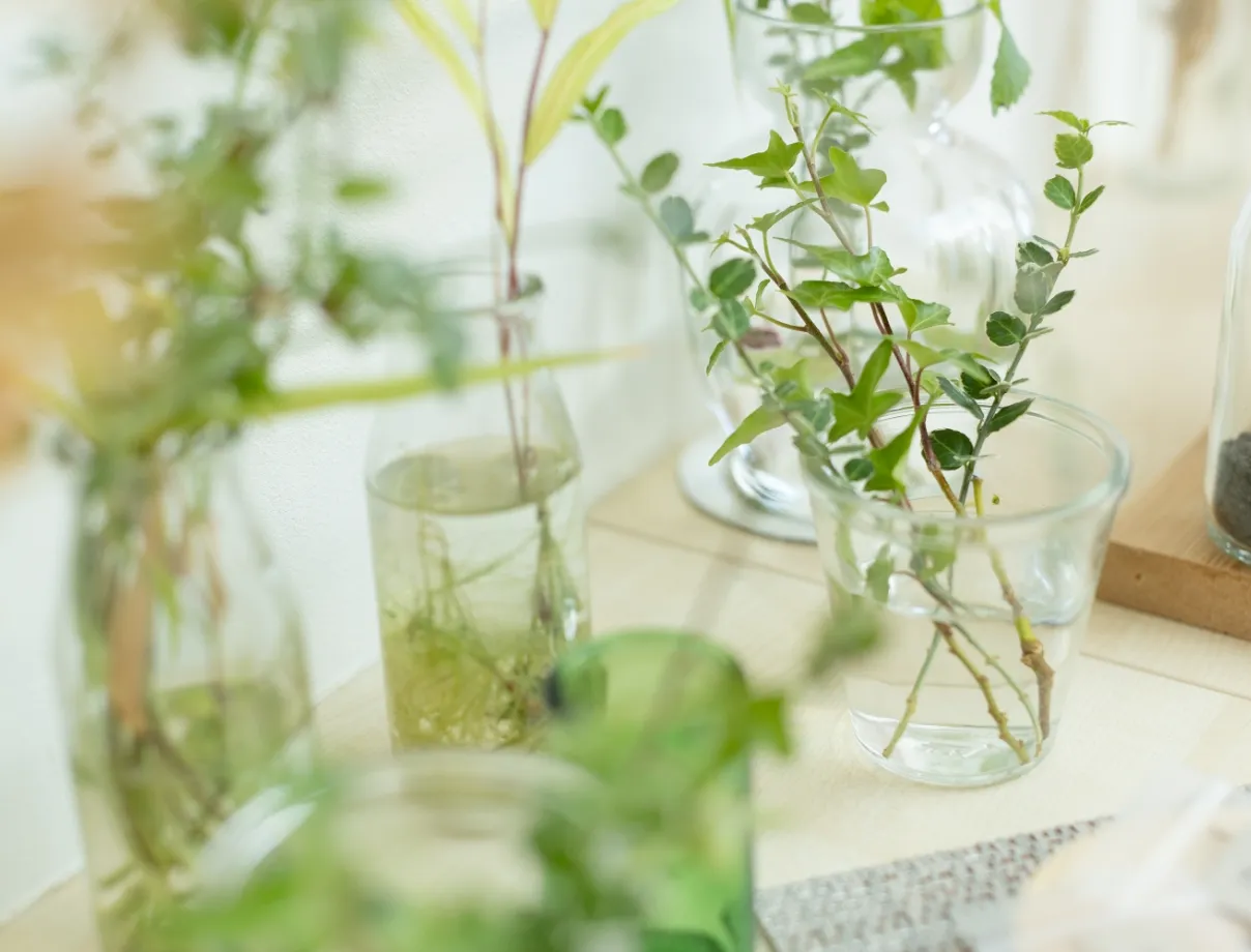 天童しぜん幼稚園イメージ5