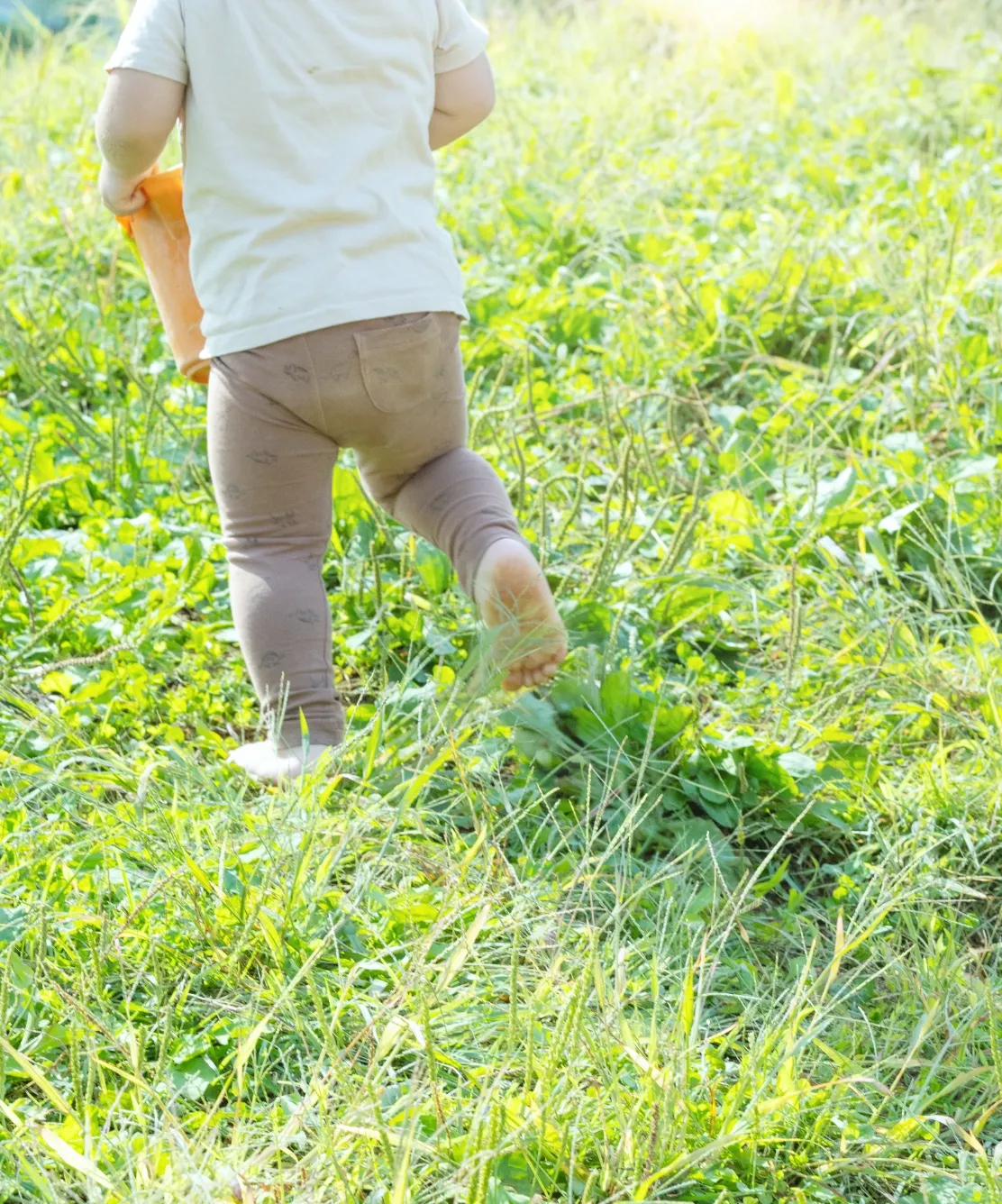 幸せを発見・探求・創造していく子どもたちへ