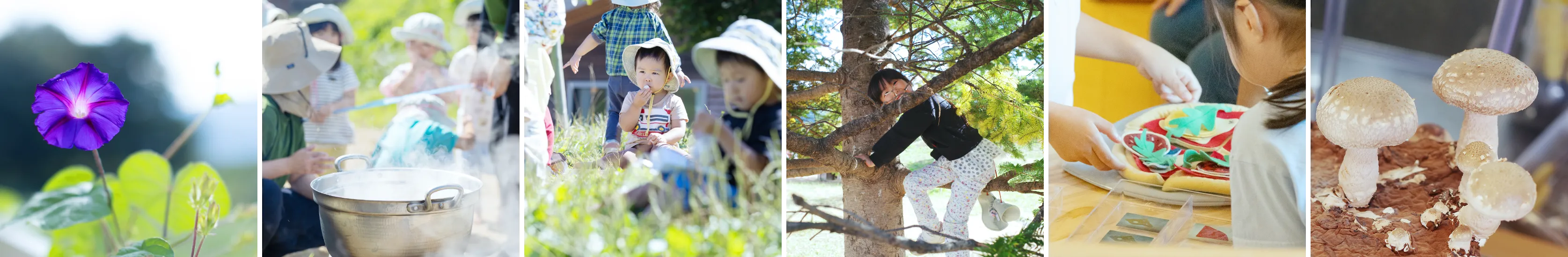 Instagramイメージ